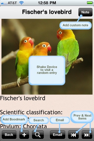 Parrots Bible screenshot 4