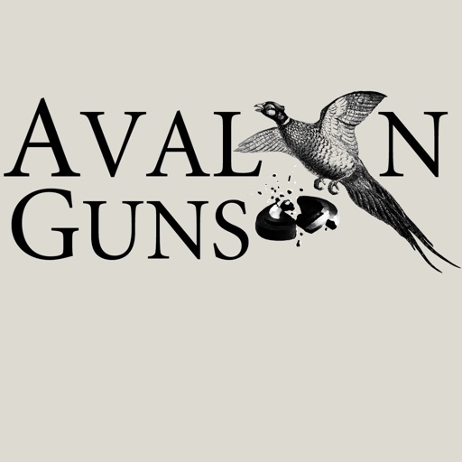 Avalon Guns icon