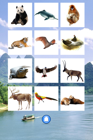 Animals China screenshot 2