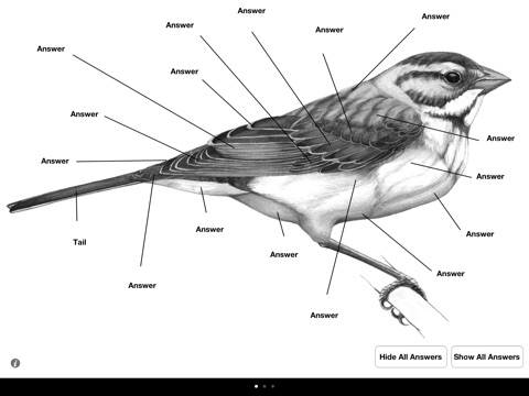 Learning Birds - Topography screenshot 2