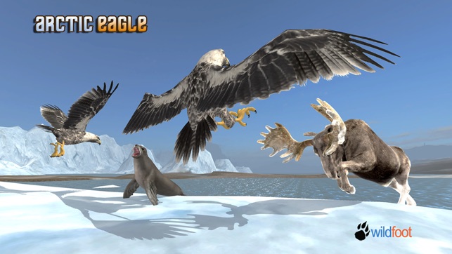 Arctic Eagle(圖2)-速報App