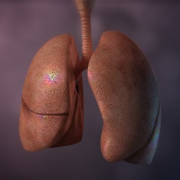 Living Lung