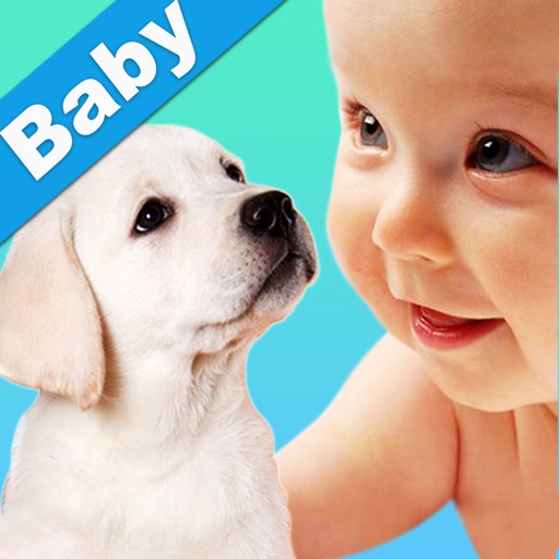 Baby Animals iOS App