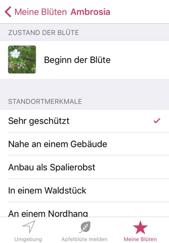 SWR Apfelblüten screenshot 3