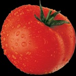 Tomato Smush