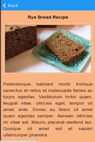 Rye Bread Recipes screenshot 3
