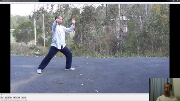 Learn Tai Chi screenshot-3