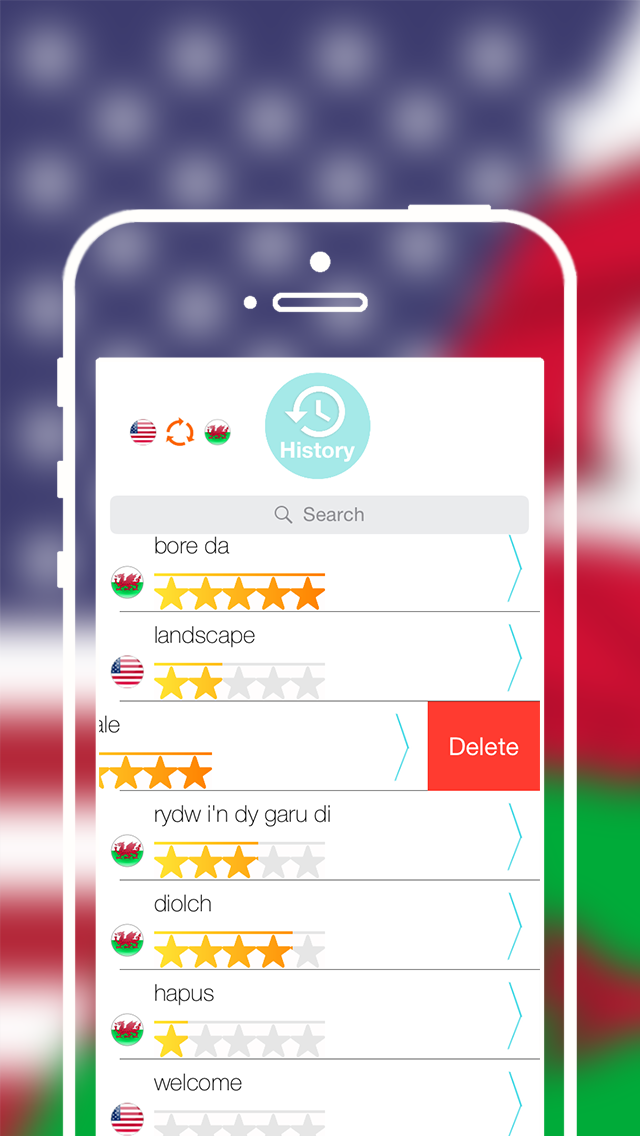 Offline Welsh to English Language Dictionary