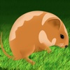 Amazing Hamster Jump Adventure - crazy speed running arcade game