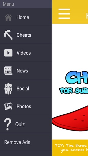 Cheats For Subway Surfers screenshot 5