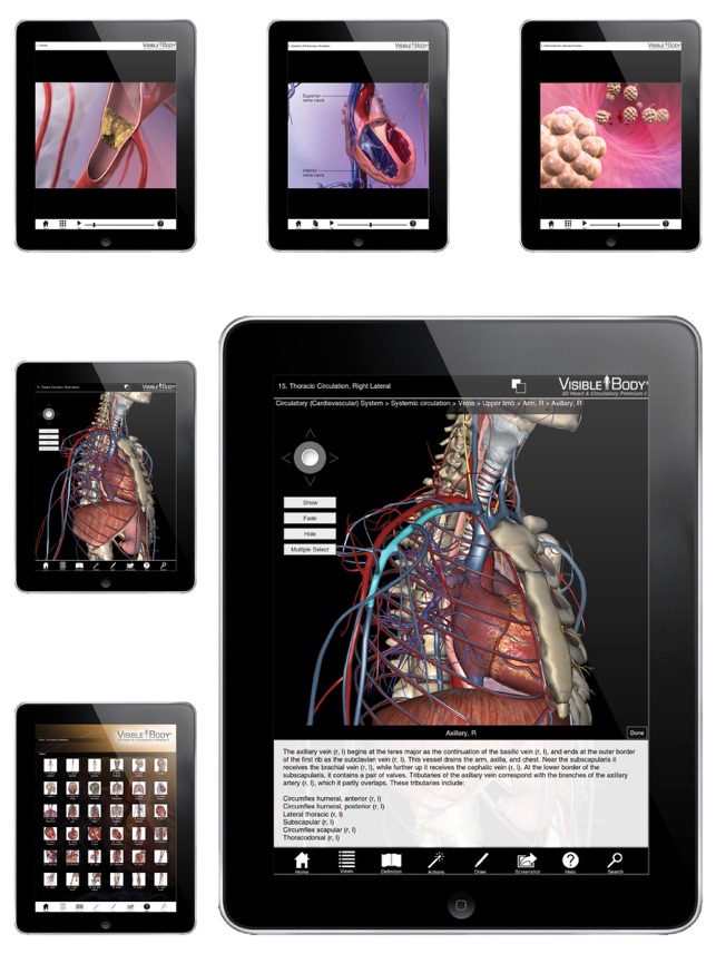 For Organizations - 2016 3D Heart & Circulatory Premium 2(圖2)-速報App