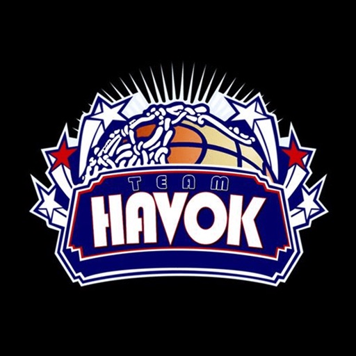 Team Havok