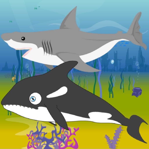 Killer Whale Shark Attack iOS App