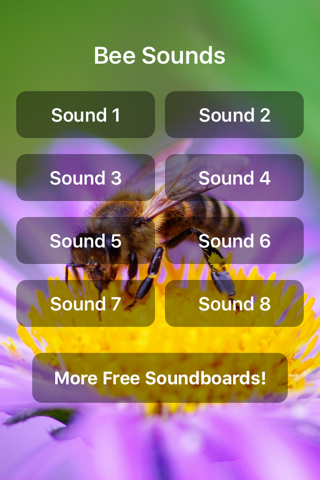 Bee Sounds! - náhled
