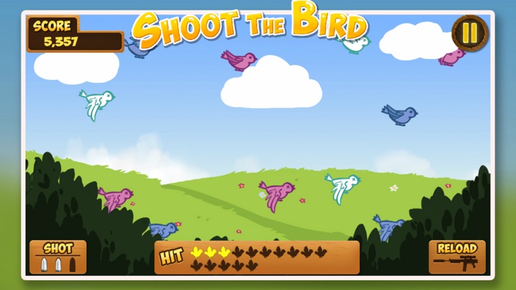 Shoot this Bird
