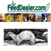 Ferret Breeding Calculator