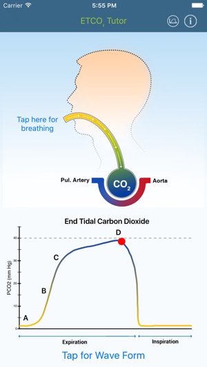 ETCO2 Tutor(圖1)-速報App
