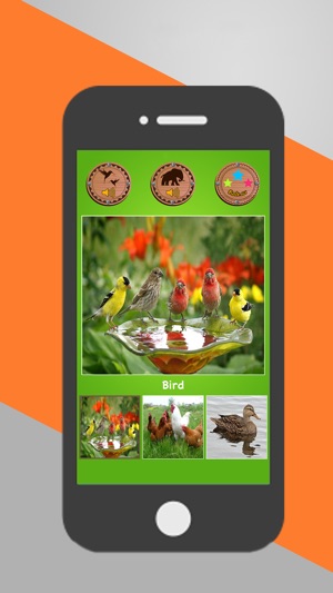 Animal And Birds Sounds(圖3)-速報App