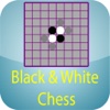 Black & White Chess