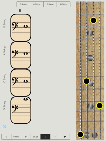 Bass Notes for Beginners - HD screenshot 4