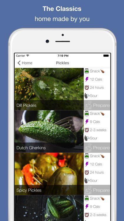 Food Fermentation & Pickling Recipes
