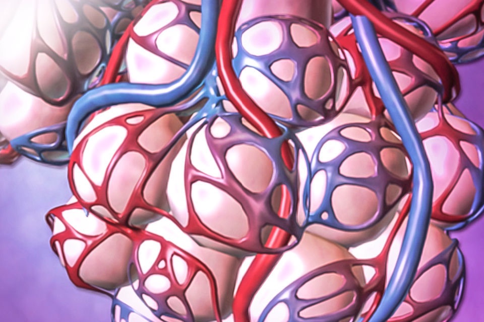 For Organizations - 2016 Physiology Animations screenshot 2