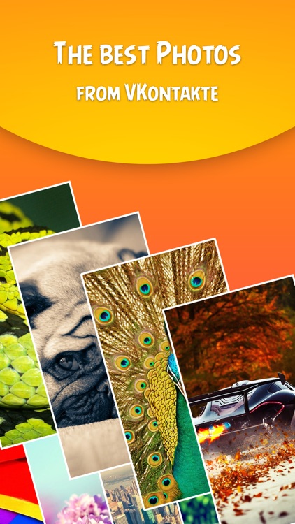 Picture Wallpapers for iPhone and iPad screenshot-3