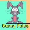 Bunny Pulse