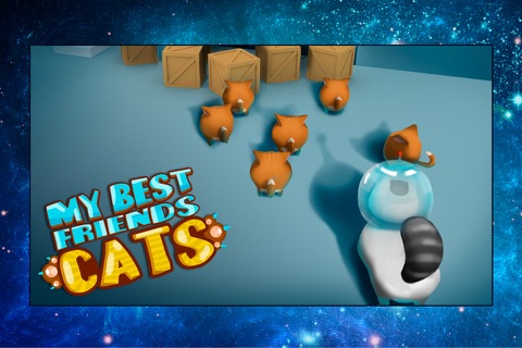 My Best Friends Cats screenshot 3