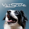 VetScene, Inc.