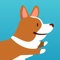 The ultimate Corgi running game