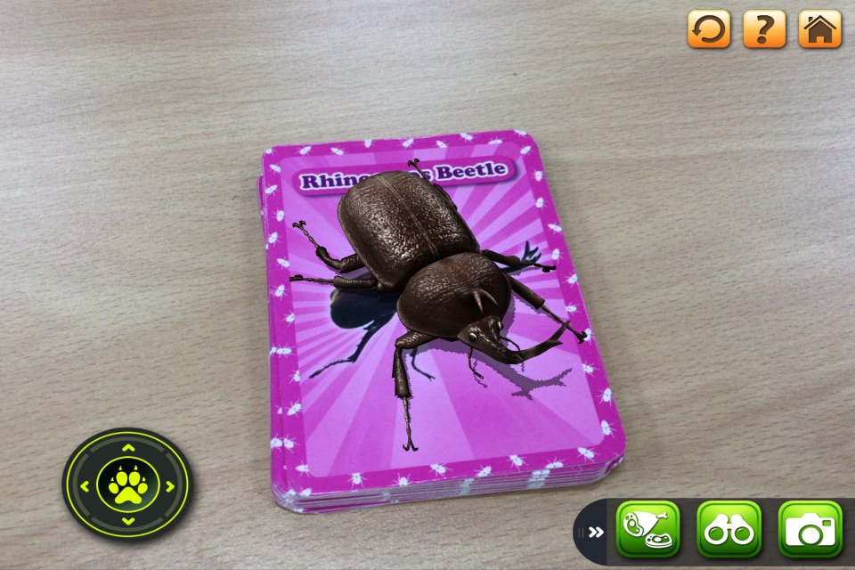 3D LEARNING CARD BUGS screenshot 2