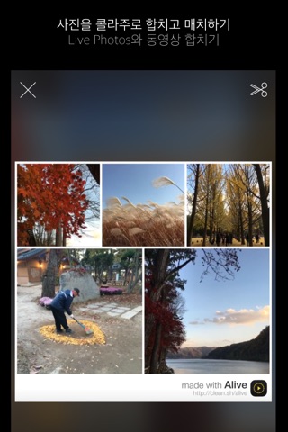 Alive - Create & Share Animated Collages for Live Photos and Videos screenshot 3
