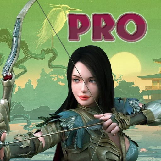 Archer Legend PRO - Arrow Shot Impossible