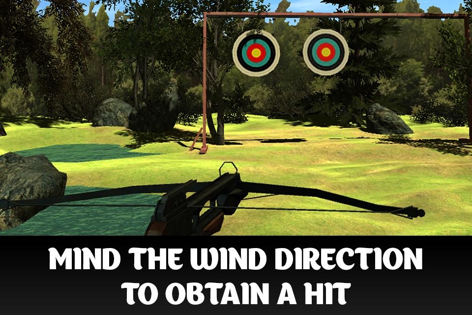 Crossbow Shooting Championship 3D screenshot 2
