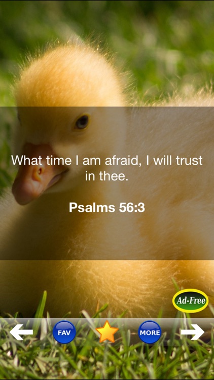 Bible Study for Kids FREE! Inspirational Verse of the Day App With Daily Devotionals & Inspirations!