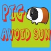 Pig Avoid Sun