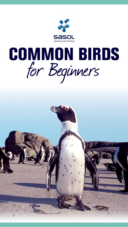 Sasol Common Birds for Beginners (Lite): Quick facts, photos and videos of 46 common southern African birds