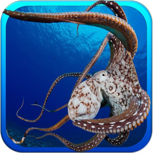 Wild Octopus Hunt - Under Frozen Water icon