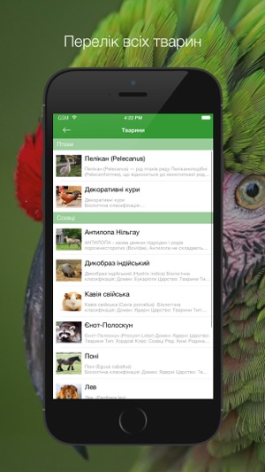 Lutsk Zoo(圖4)-速報App