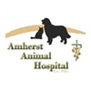 Amherst Animal