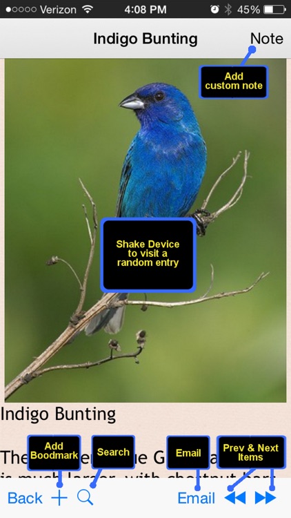 Birds Encyclopedia Plus+