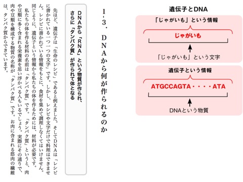 スクリーンショット 2