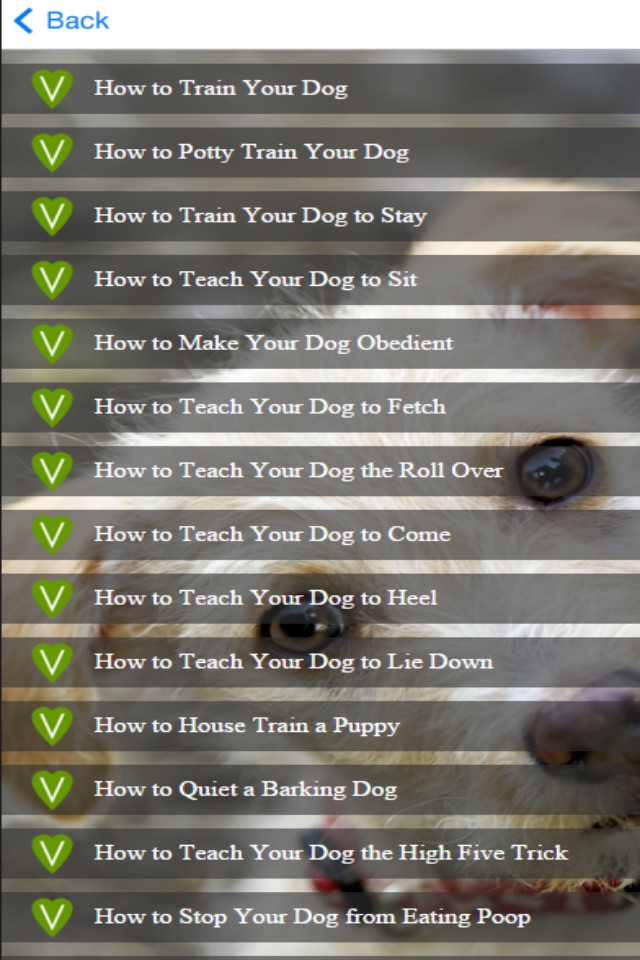 Dog Training - Learn How to House Train a Dog screenshot 4