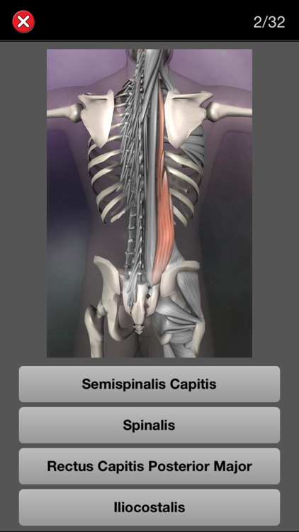 Anatomy Quiz Pro
