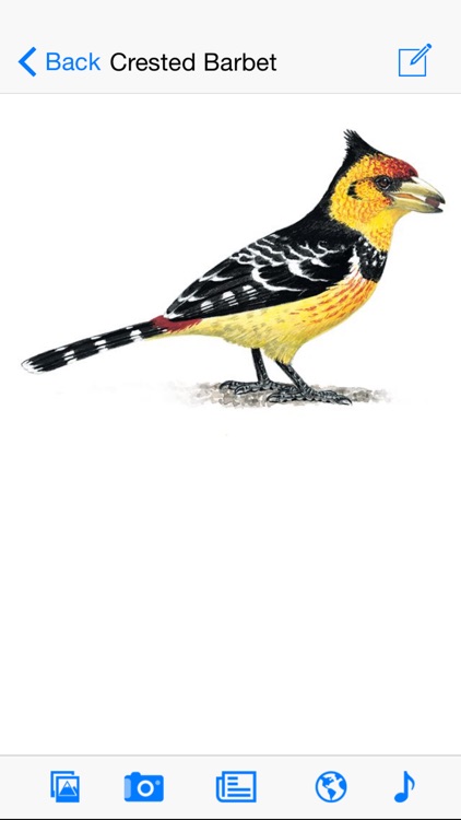 Sasol eBirds of Southern Africa LITE