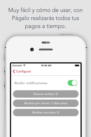 Págalo screenshot 2