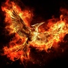 The Mockingjay App