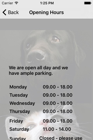 Pointer Veterinary Clinic Estepona screenshot 3