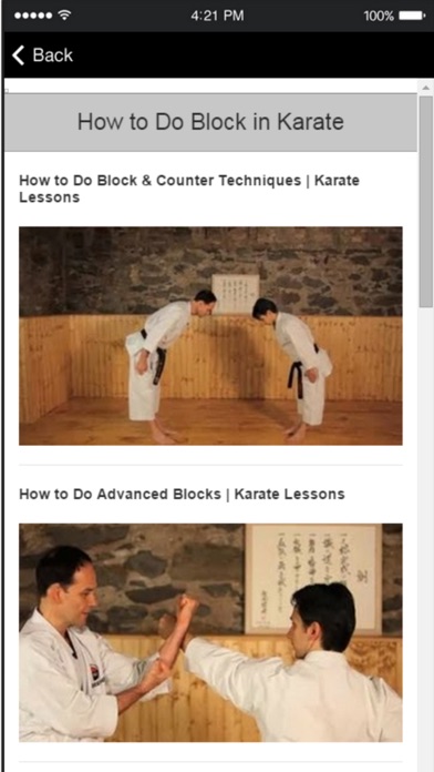 Karate Techniques - L... screenshot1